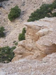 DSCF1848