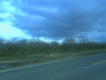 0213071616