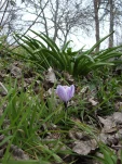 DSCF0753
