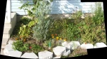 pano