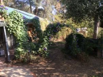 IMG 0596